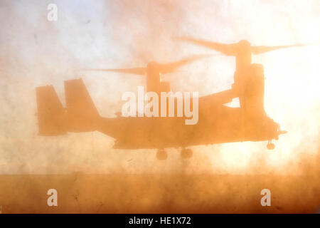 Les membres de l'équipage affectés à la 20e Escadron d'opérations spéciales se préparer à atterrir un CV-22 Osprey 7 janvier 2016, à Melrose Air Force Range, N.M. L'avion a atterri à ramasser le Sgt Commande. Le major William Thetford, le commandement des opérations spéciales des États-Unis s'est enrôlé, conseiller principal au cours de sa visite à Cannon Air Force Base, N.M. /Tech. Le Sgt. Manuel Martinez Banque D'Images