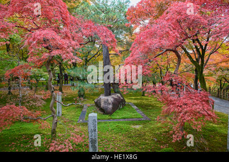 De superbes couleurs d'automne au Temple Tofuku-ji, Kyoto, Japon Banque D'Images