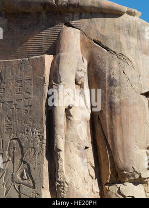Close up of les colosses de Memnon, gardiens de la chapelle du Temple d'Amenhotep III, en Cisjordanie, l'Egypte Louxor Banque D'Images