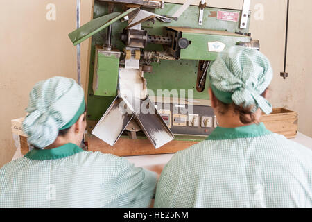 Femme à sachet de thé Chá Gorreana machine fabrication plantation de thé sur l'île de São Miguel, aux Açores. Le Portugal, l'Europe Banque D'Images