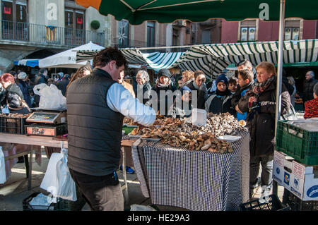 Man selling les champignons dans le square de Vic Banque D'Images