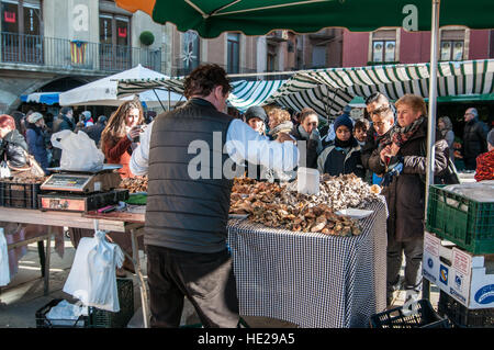 Man selling les champignons dans le square de Vic Banque D'Images