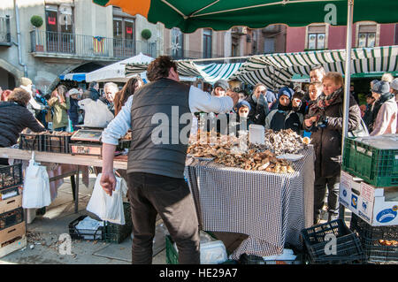 Man selling les champignons dans le square de Vic Banque D'Images