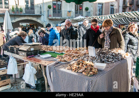 Man selling les champignons dans le square de Vic Banque D'Images