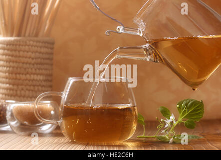 Pour l'infusion chaude tasse en verre Banque D'Images