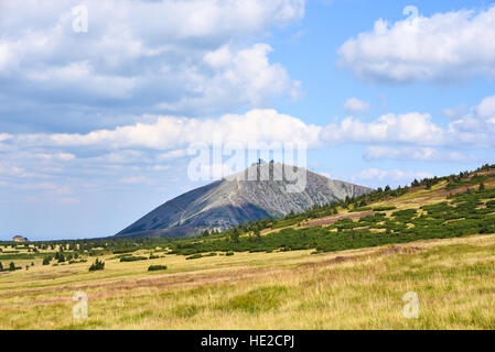 Snezka Mountain dans le parc national de Krkonose en été Banque D'Images