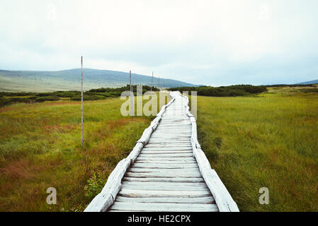 Passerelle en bois qui traverse la tourbière de montagne Banque D'Images