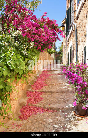 Ruelle romantique avec fleurs de bougainvilliers en fleurs sur l'île de Majorque en Espagne Banque D'Images