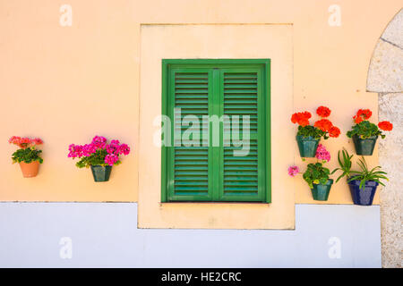 Volets vert avec un mur avec des fleurs Banque D'Images