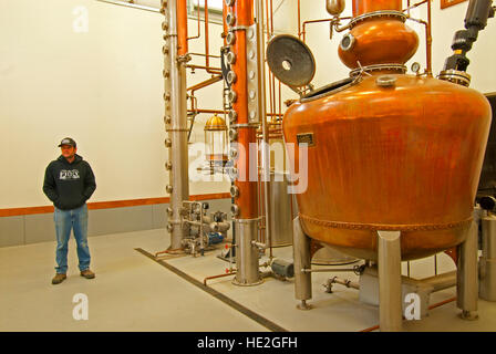 Propriétaire de la Frey Colby encore place de la distillerie agricole Ranch Frey, FALLON, Nevada Banque D'Images