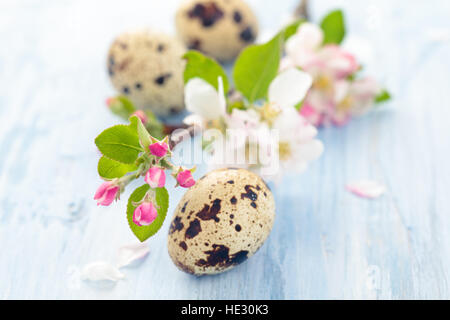 Arrangement pour jour de Pâques. Banque D'Images