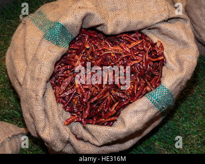 Piment rouge séché à l'intérieur sac de jute Banque D'Images