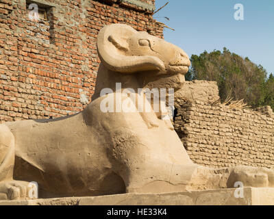 Avenue de Toutankhamon de Sphinx menant du 10ème pylône du Temple de Karnak au temple de Mout à Louxor, Égypte, Afrique du Nord Banque D'Images