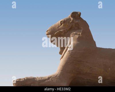 Avenue de Toutankhamon de Sphinx menant du 10ème pylône du Temple de Karnak au temple de Mout à Louxor, Égypte, Afrique du Nord Banque D'Images