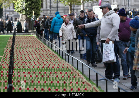 Les membres de l'organisation des Forces armées britanniques titulaires d'un service sur le terrain du souvenir à l'abbaye de Westminster dispose d''atmosphère où : London, Royaume-Uni Quand : 05 Nov 2016 Banque D'Images