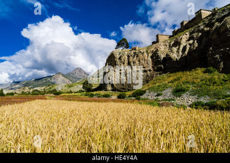 Paysage agricole du upper marsyangdi vallée avec les champs d'orge, le village de manang est situé sur le rocher au-dessus Banque D'Images