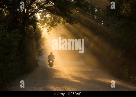 Tôt le matin, les rayons de lumière, Bagan, Myanmar Banque D'Images