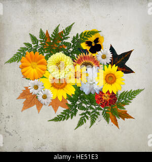 Marigold, tournesol, feuilles etc. belle nature. Banque D'Images