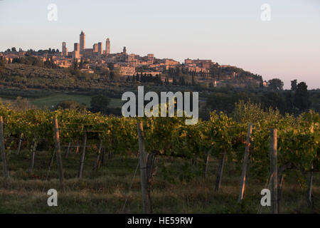 Vignobles de la famille de la Strada Comunale di Santa Lucia, San Gimignano, Italie Banque D'Images