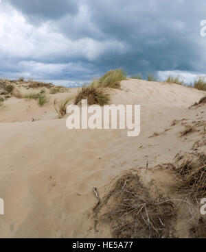 Système de dunes de Bray Dunes, Dunkerque, France. Banque D'Images