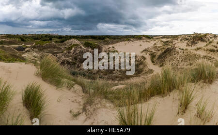 Système de dunes de Bray Dunes, Dunkerque, France. Banque D'Images