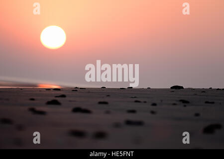 Coucher de soleil sur une plage de la mer d'Oman, de cailloux éparpillés sur la plage, prises au niveau du sol Banque D'Images
