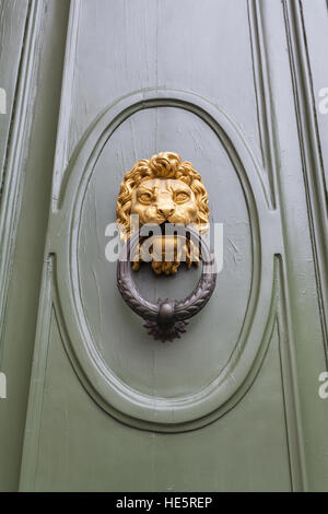 Voyage d'Italie - lion head knocker sur la porte verte dans la ville de Florence Banque D'Images