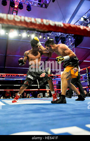 Las Vegas, Nevada, USA. 25Th Dec 2016. 'Lil' Oscar Cantu batailles Aston Palicte dans l'événement principal un super match de championnat de la masselotte à "Knockout nuit au D" présenté par la D Las Vegas et DLVEC et promu par Roy Jones Jr. la boxe. Credit : Ken Howard/Alamy Live News Banque D'Images