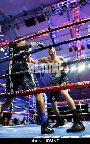 Las Vegas, Nevada, USA. 17 Décembre, 2016. L'invaincu Randy 'El Matador' Moreno prend sur 'Money' Mike Fowler dans un round 6 Léger Junior bout à "Knockout nuit au D" présenté par la D Las Vegas et DLVEC et promu par Roy Jones Jr. la boxe. Credit : Ken Howard/Alamy Live News Banque D'Images