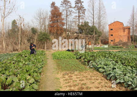 Xiaogan, Xiaogan, Chine. Dec 18, 2016. Xiaogan, Chine 18 décembre 2016 : (usage éditorial uniquement. Chine OUT) .Sangang Village, du village abandonné, dans le comté de Xiaogan Chateau Changyu Resort, le centre de la Chine, Province de Hubei, Décembre 18, 2016. Il y a eu plus de 200 villageois dans le village dans le temps passé, mais de nos jours, presque personne ne peut être vu dans le village parce que la plupart des villageois avaient déjà passé à d'autres endroits. © SIPA Asie/ZUMA/Alamy Fil Live News Banque D'Images