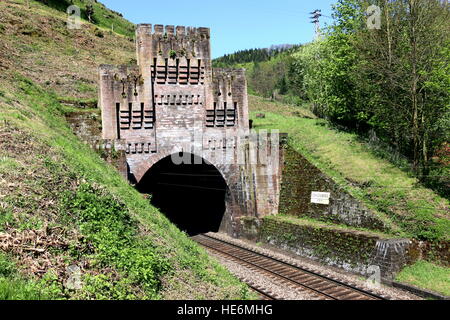 Entrée d'une vieille brique ouvragée, tunnel ferroviaire, de l'Allemagne. Banque D'Images