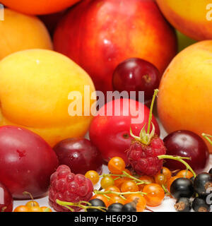 Fruits isolated on a white Banque D'Images