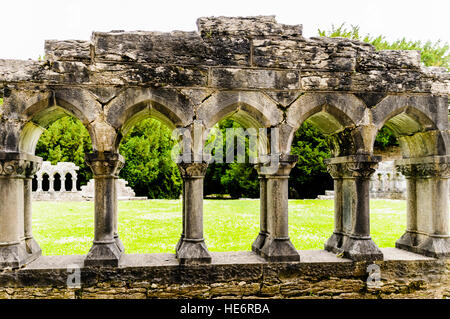 Ruines d'une chancellerie à l'abbaye de Cong, Irlande Banque D'Images