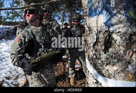 La FPC. La Jordanie, originaire de la paroisse de San Juan Bautista, Californie, attend que l'ordre à l'age d'un arbre avec un C-4 pendant un exercice de démolition. Soldats affectés à une compagnie, 425e Bataillon de la brigade de troupes spéciales, gréé avec arbres d'explosif plastique C-4 lors d'un exercice d'entraînement à la base d'opérations avancée Sparte sur Joint Base Elmendorf-Richardson, Alaska, le 21 mars 2013. L'exercice a permis aux soldats de s'entraîner avec des démolitions et prendre des arbres pour bloquer l'ennemi sur les routes. Justin Connaher) Banque D'Images