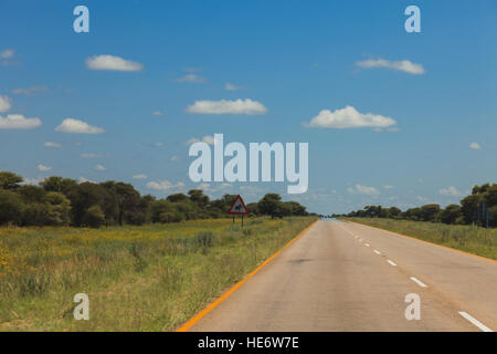 Route de l'Afrique du Sud à travers les savanes et les déserts avec des marques et de la signalisation routière. L'Afrique du Sud. La Namibie. Banque D'Images