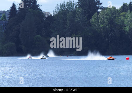 Frank Hansen Memorial Race Regatta hydroglisseurs avec beaucoup de queues de coq Banque D'Images