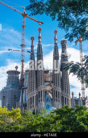 Vue à travers la cime des arbres des tours et les grues de construction de la Sagrada Familia à Barcelone, Espagne. Banque D'Images