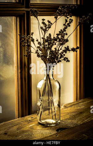 Champ de fleurs sauvages sèches dans un flacon en verre vintage sur une table en bois vieilli par une fenêtre géorgienne, selective focus Banque D'Images