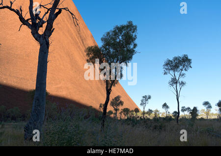 L'Uluru ridge mur et plaine désertique bush et les arbres contre le ciel bleu dans le territoire du Nord Australie Banque D'Images