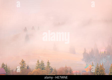 Paysage d'automne brumeux Banque D'Images