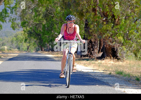 Une femme à vélo sur une route bordée d'arbres dans les Pyrénées de Victoria, Australie Banque D'Images