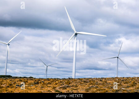 L'Australie, de l'éolienne Banque D'Images