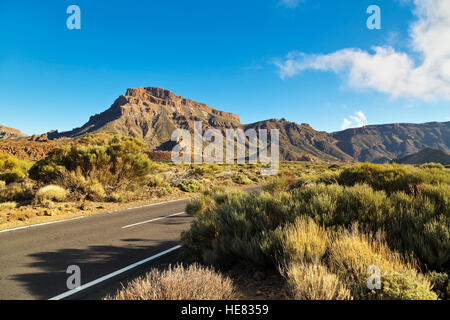 Paysage avec road dans le Parc National du Teide, Tenerife, Îles de Canaries, Espagne Banque D'Images