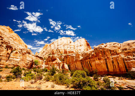 Le sentier à Hickman Bridge est Capitol Reef National Parcs de randonnée le plus populaire et offre une vue superbe de la Waterpocket Fold et le majestueux nat Banque D'Images