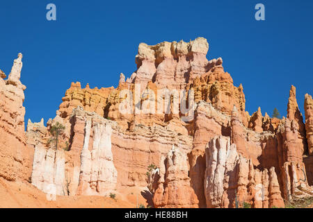 Le parc national de Bryce Canyon dans l'Utah, USA Banque D'Images