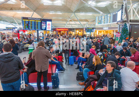 Vacances de Noël la foule à l'aéroport de Stansted pour les vacances en amoureux. Banque D'Images