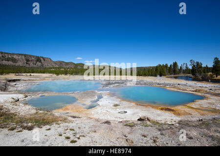 Piscine d'eau chaude colorée dans le parc national de Yellowstone, États-Unis Banque D'Images