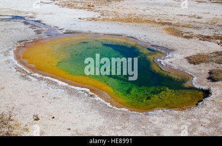 Piscine d'eau chaude colorée dans le parc national de Yellowstone, États-Unis Banque D'Images