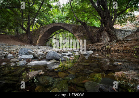 Pont vénitien dans la forêt Banque D'Images