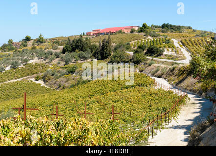 Domaine Helios Winery, Nemea, péninsule du Péloponnèse, Grèce Banque D'Images